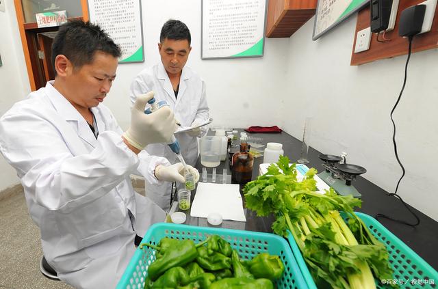 武侯区餐饮办证送检实操：从确定项目到拿到报告的全流程拆解